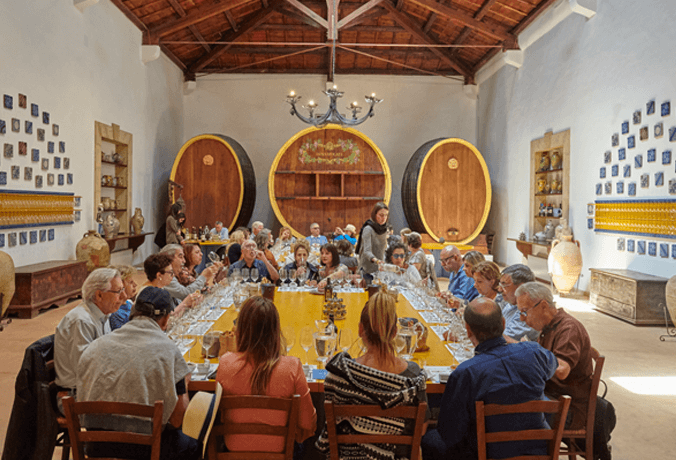 degustação de vinhos na vinícola DonnaFugata