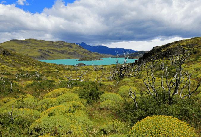 Lago Nordenskjöld parque nacional torres del panie