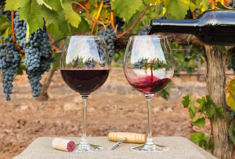 degustação vinho andaluzia