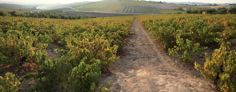 montilla andaluzia espanha