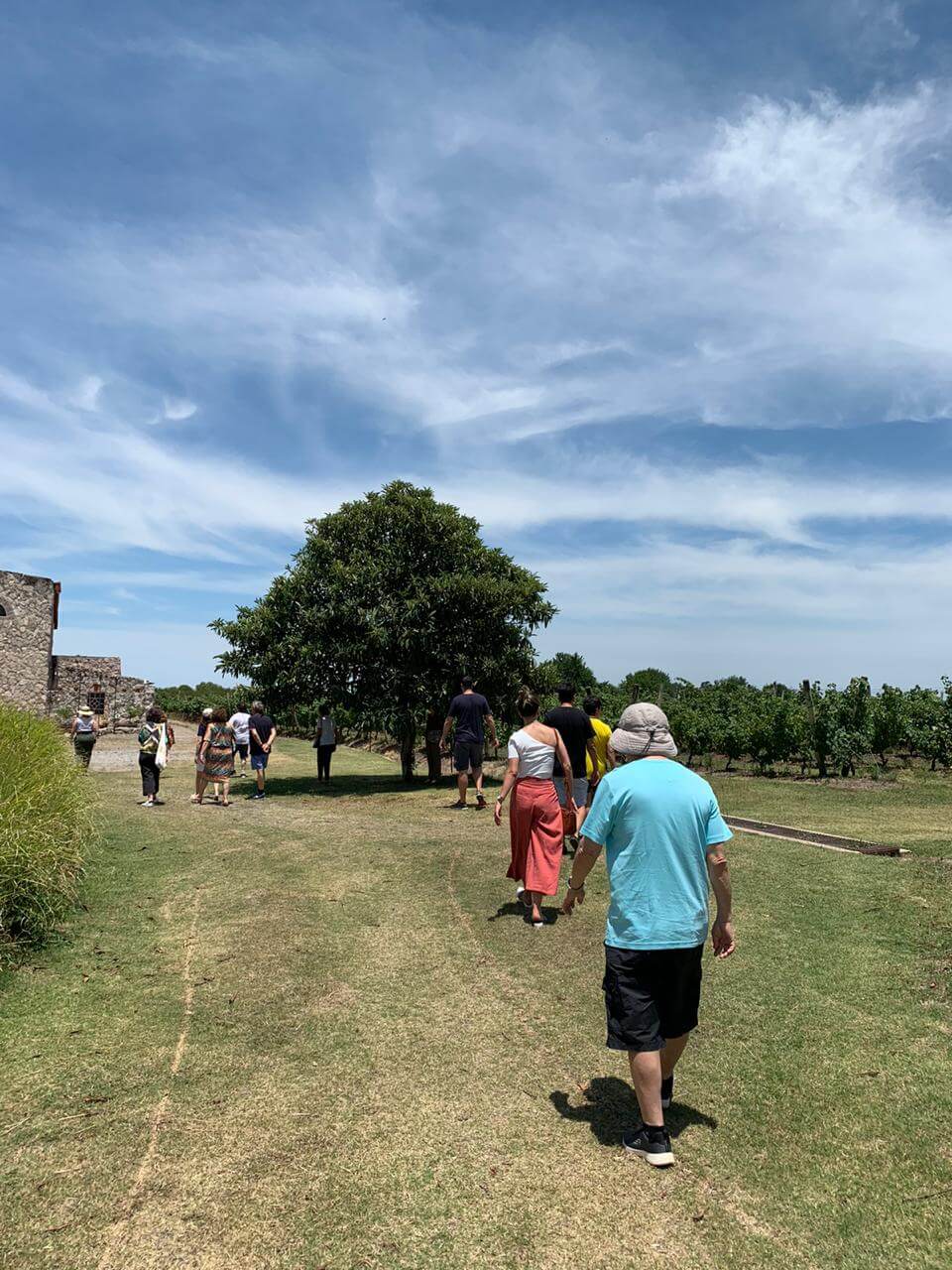 Vinícola Narbona Carmelo Uruguai