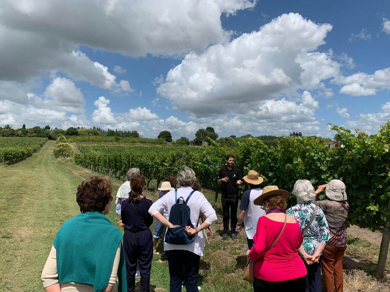 Vinícola Pizzorno Montevidéu Uruguai