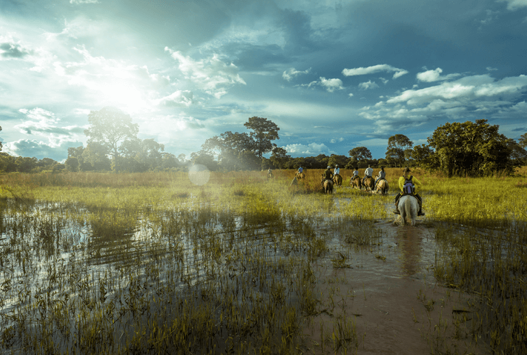 destino dos sonhos pantanal brasil