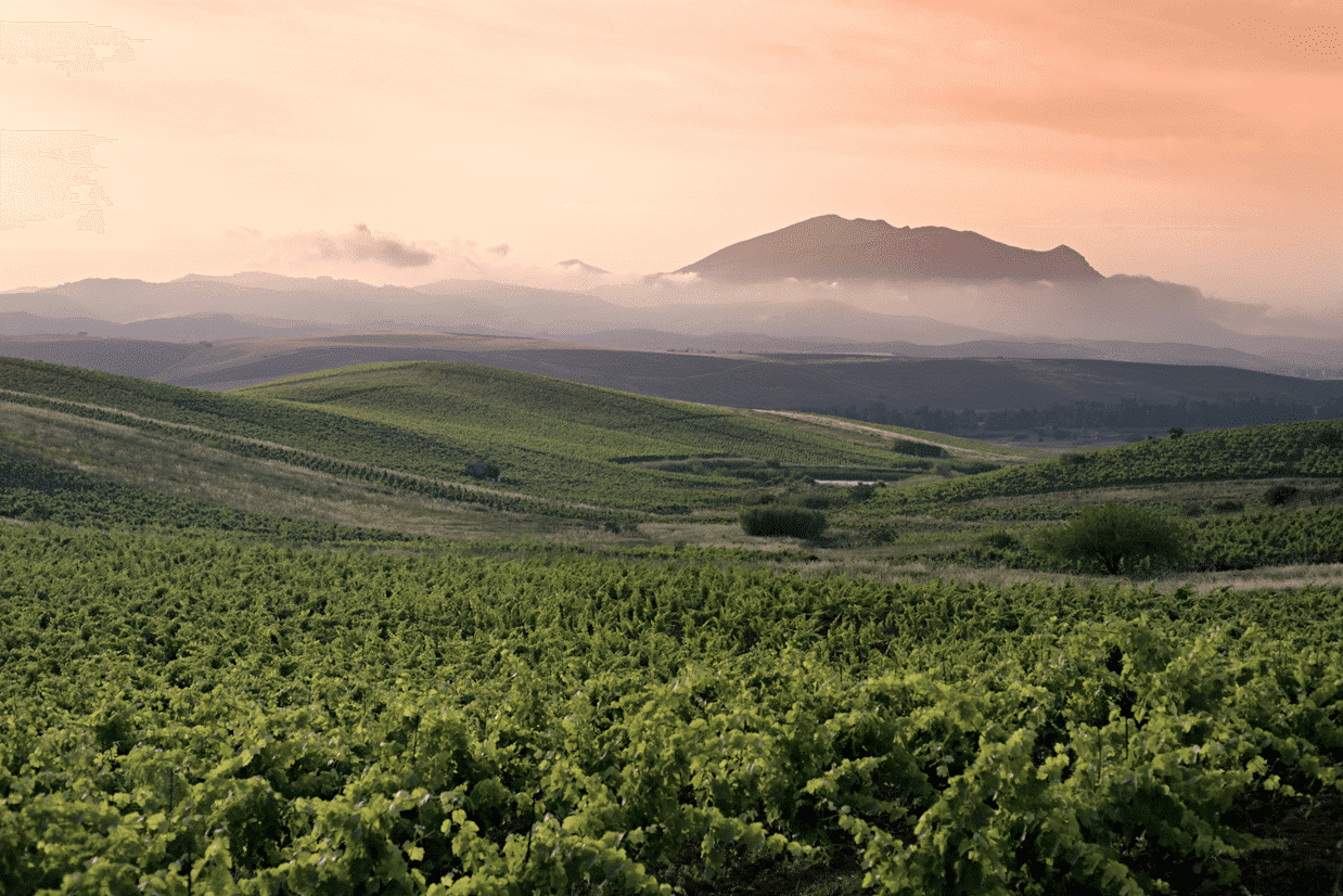 vinícola Sicília Itália