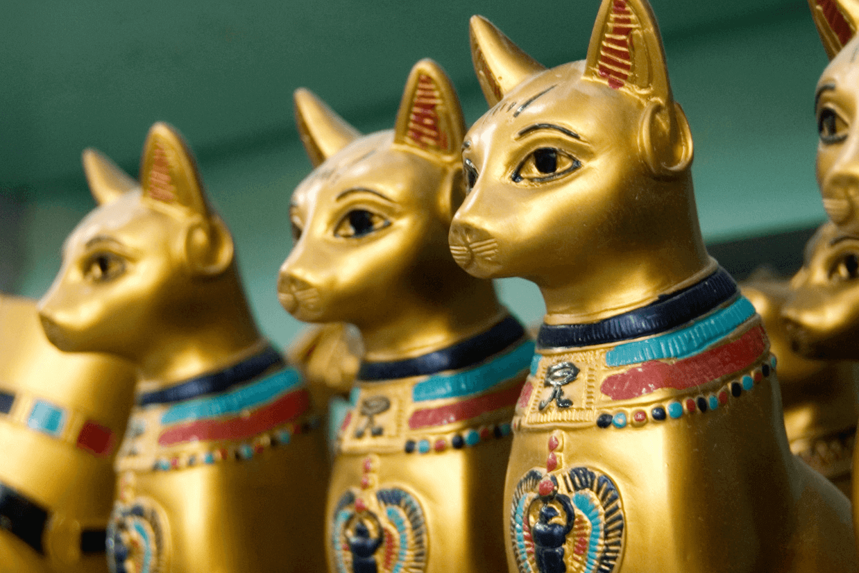 gatos adorados no antigo egito