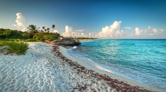 UM HORIZONTE AZUL PARA O FUTURO