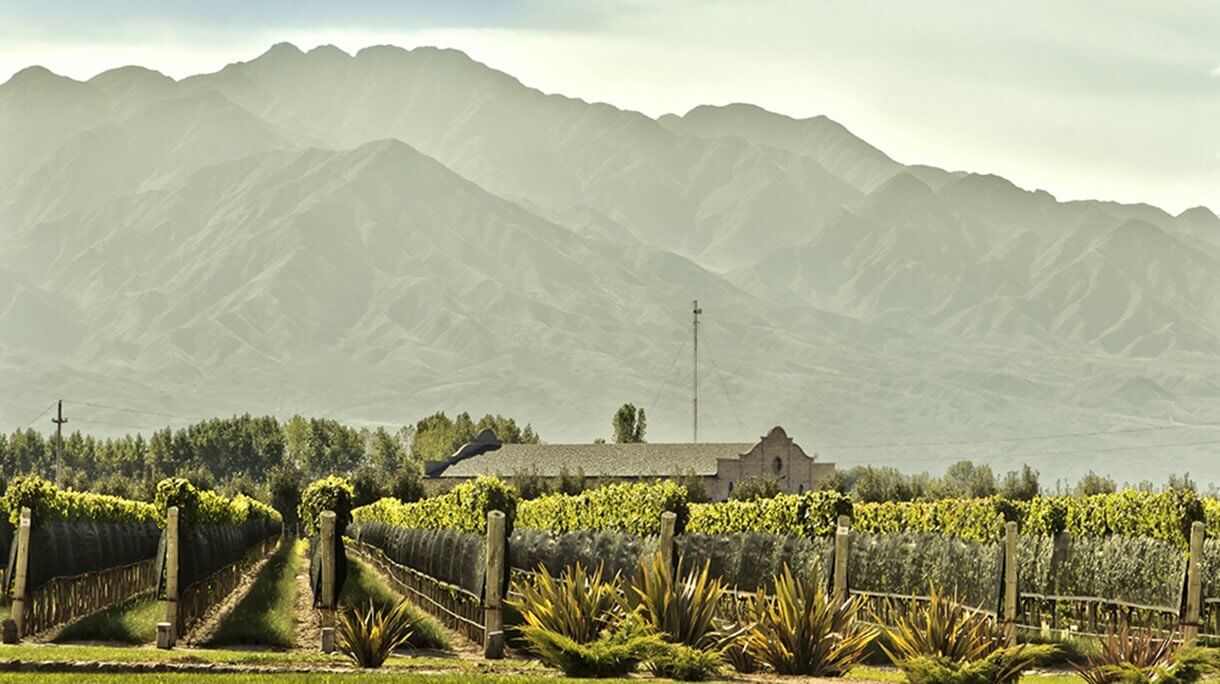 UM LUGAR SAGRADO PARA QUEM AMA OS VINHOS
