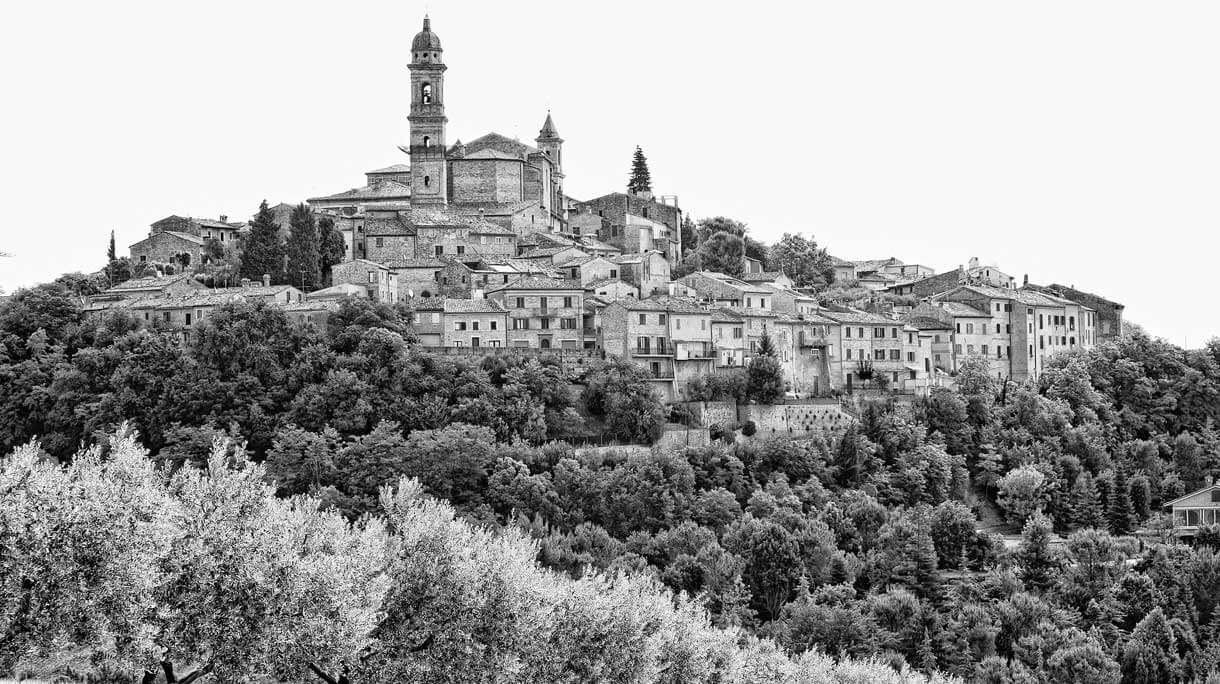 MEU TEMPO NO MUNDO – O DOCE SABOR DO AGORA