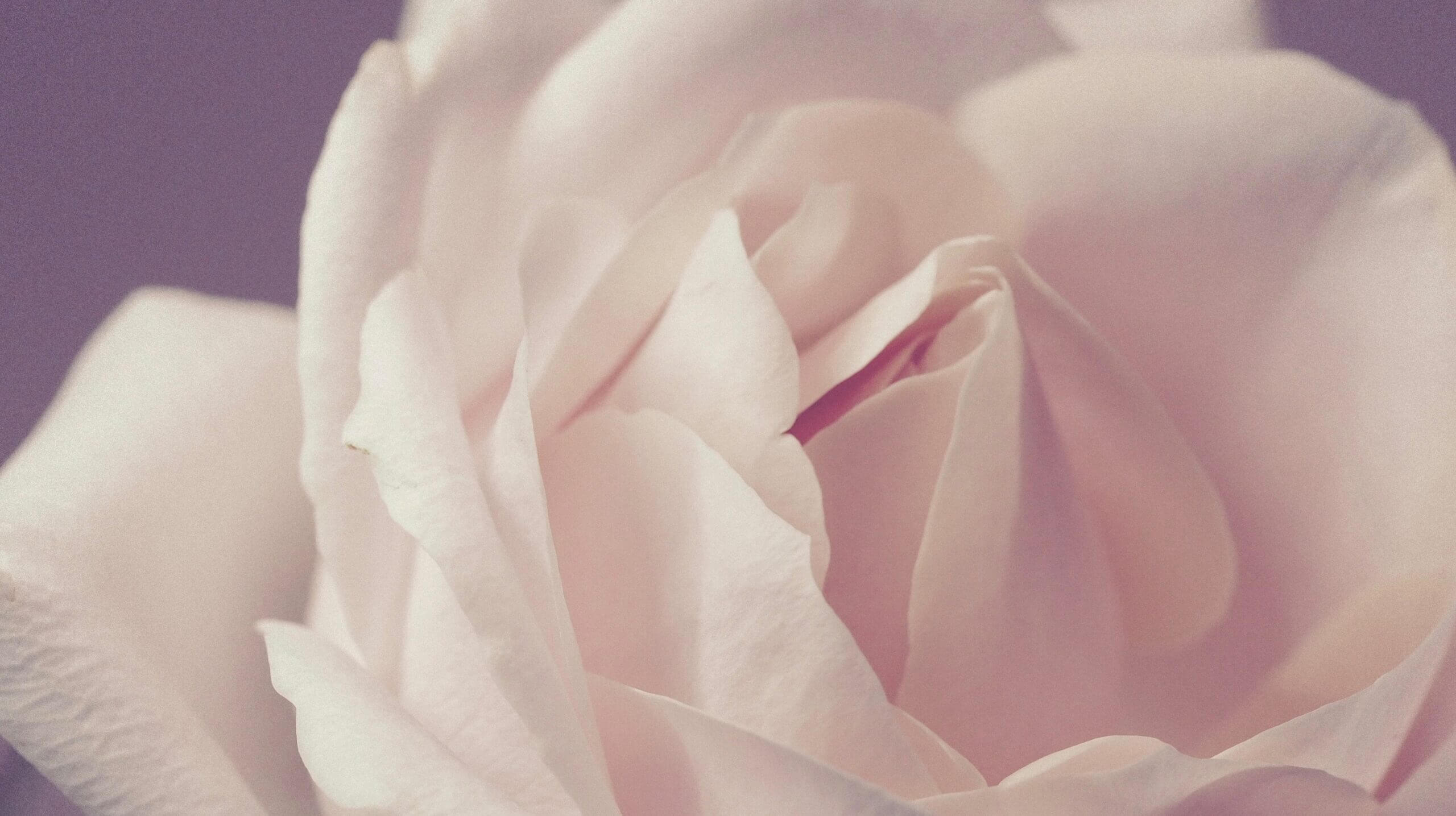 PRECISAMOS FALAR SOBRE FINITUDE