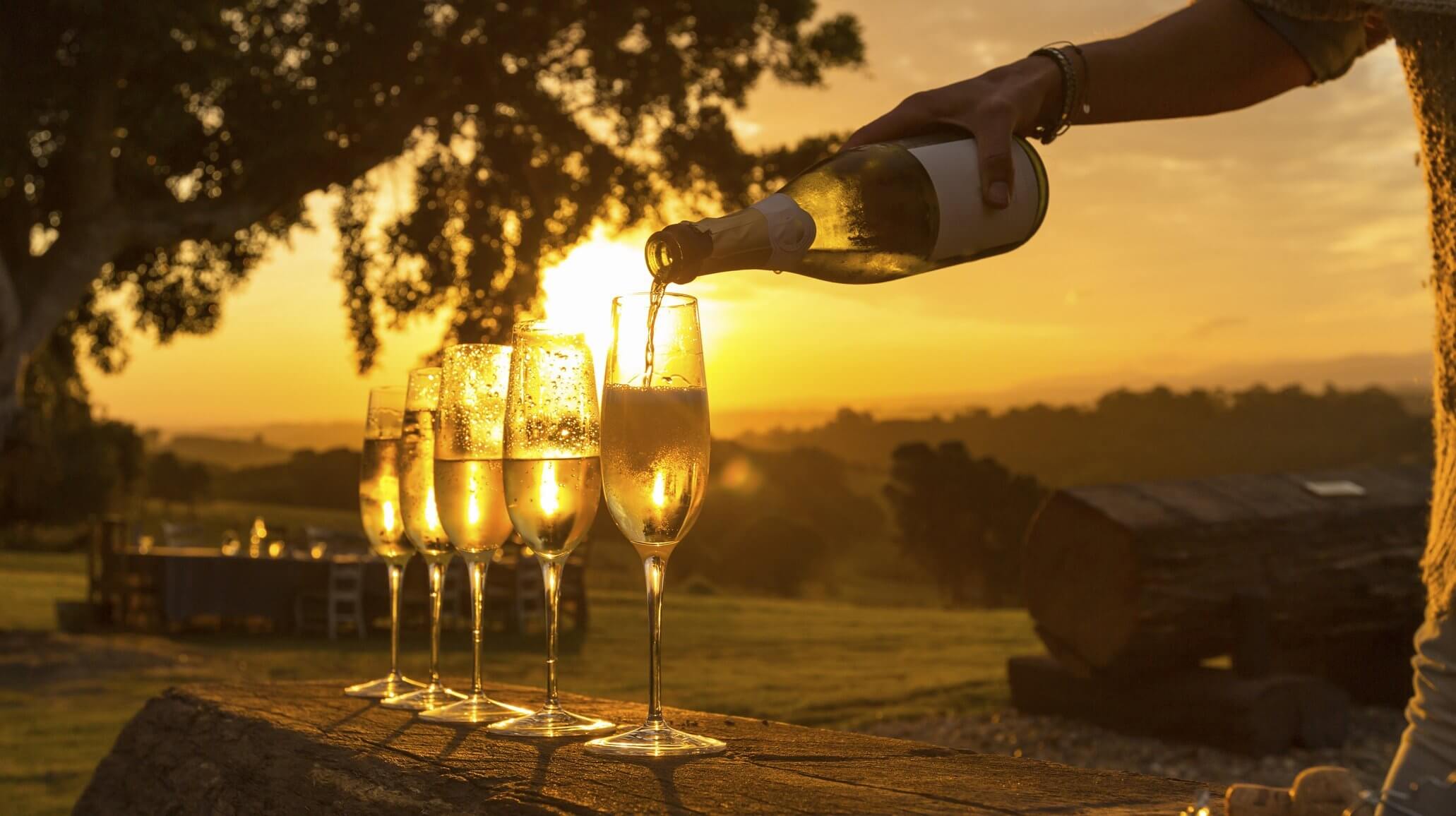 DICAS PARA EXPERIMENTAR DELICIOSOS VINHOS SUL-AMERICANOS