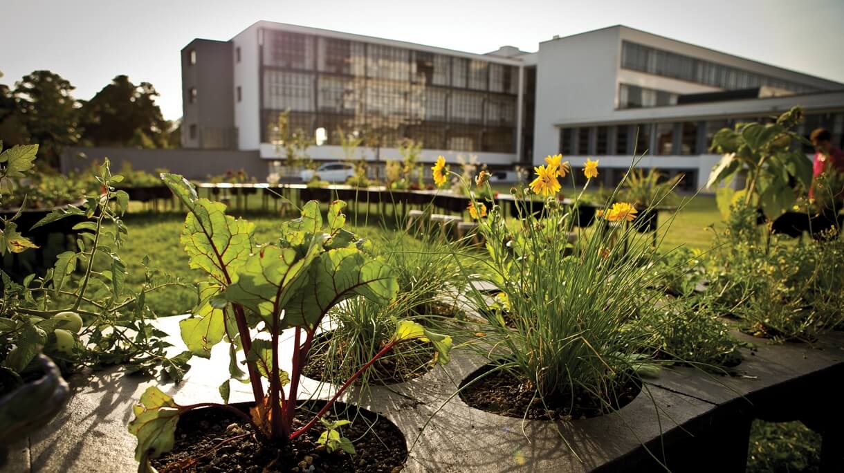 BAUHAUS, DA ALEMANHA PARA O MUNDO