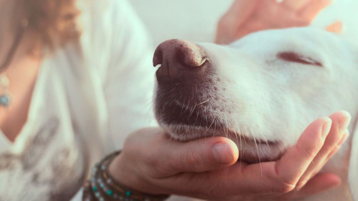 50 TRUQUES PARA RELAXAR