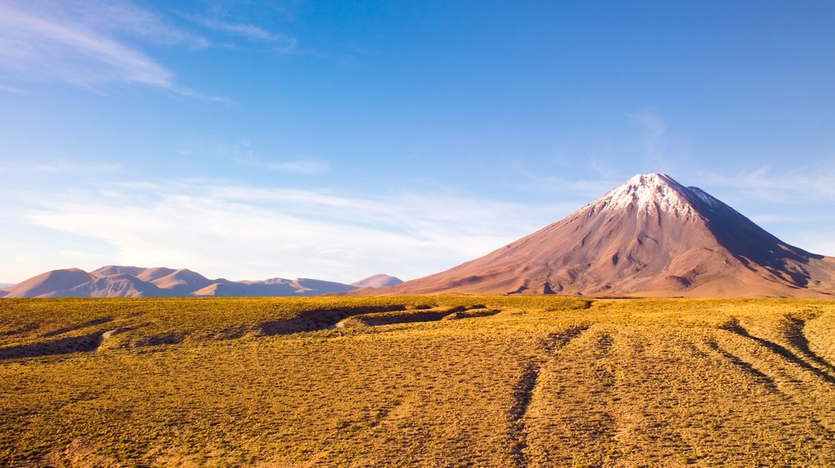 A VIDA QUE COLORE O DESERTO DO ATACAMA