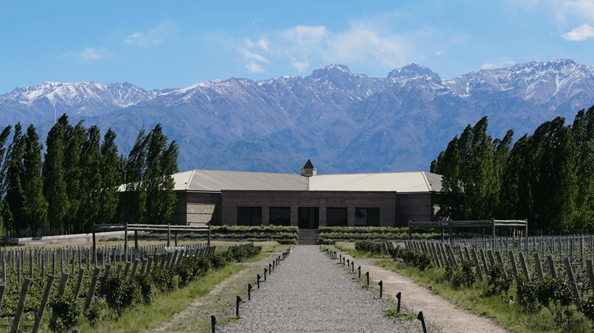 Encantos da América do Sul: o que esperar de Mendoza e Salta na Argentina?