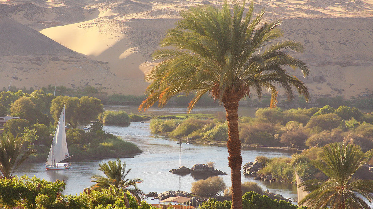 Viagem ao Egito: conheça essa dádiva do Nilo para a humanidade