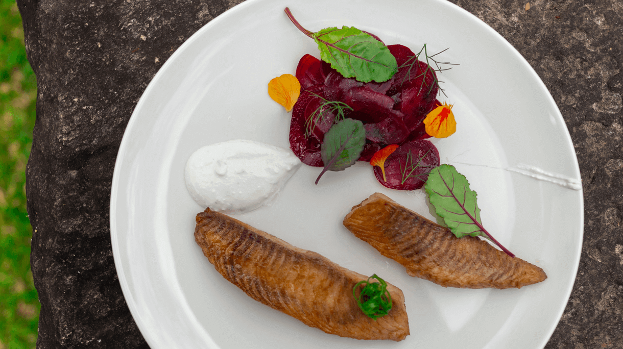 COMO É VISITAR A FAZENDA SANTA VITÓRIA COM A DONATO?