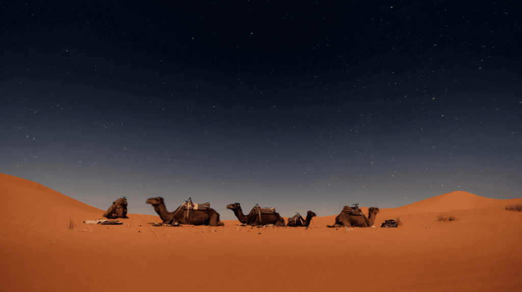 MARROCOS, RUMO ÀS AREIAS DO SAARA