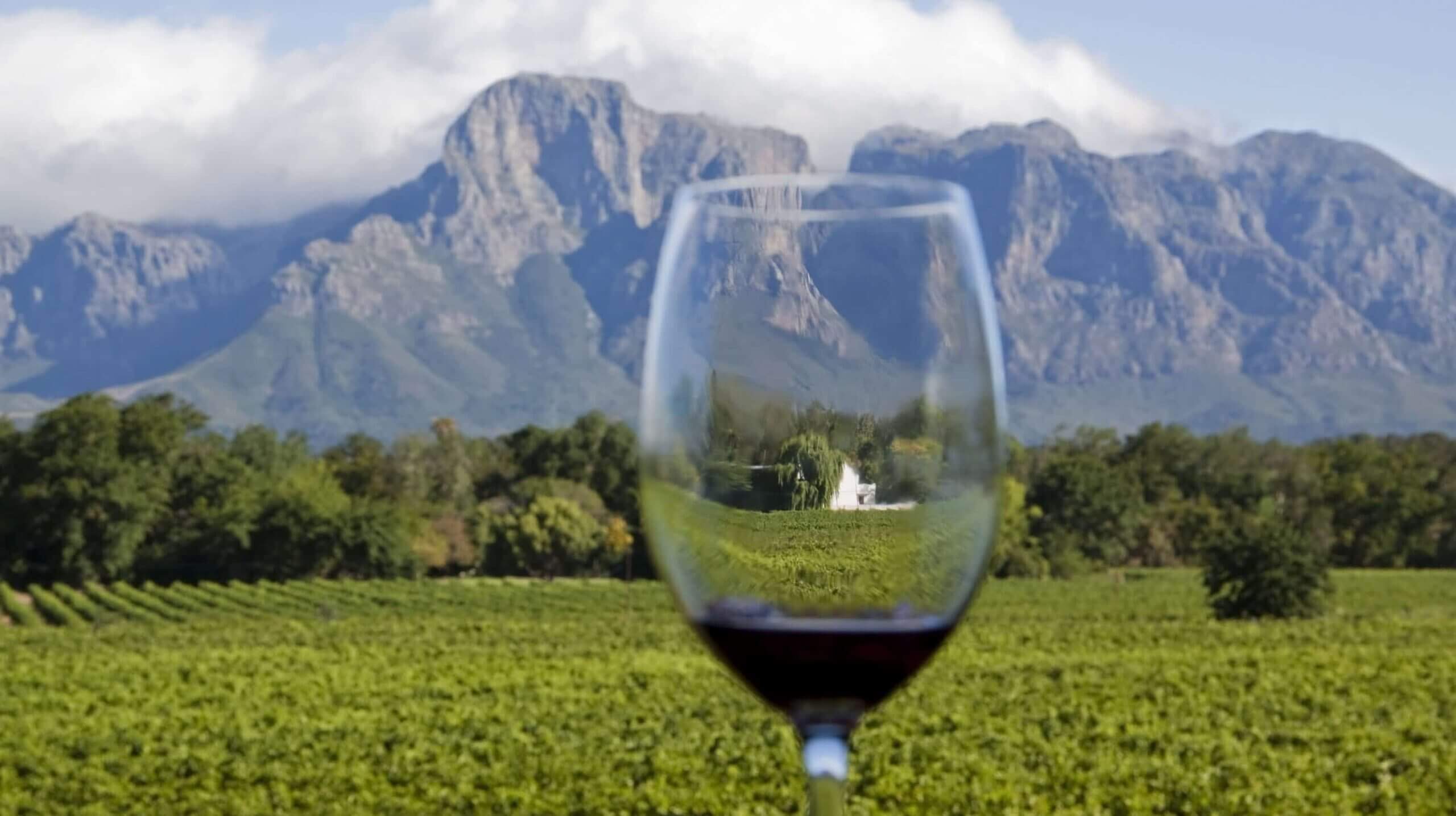 ÁFRICA DO SUL: BELEZA, VINHO E ANCESTRALIDADE