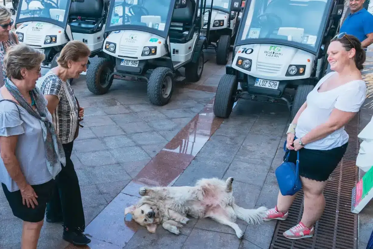 Viajantes fazem city tour por Malta, interagindo com moradores de Valletta 