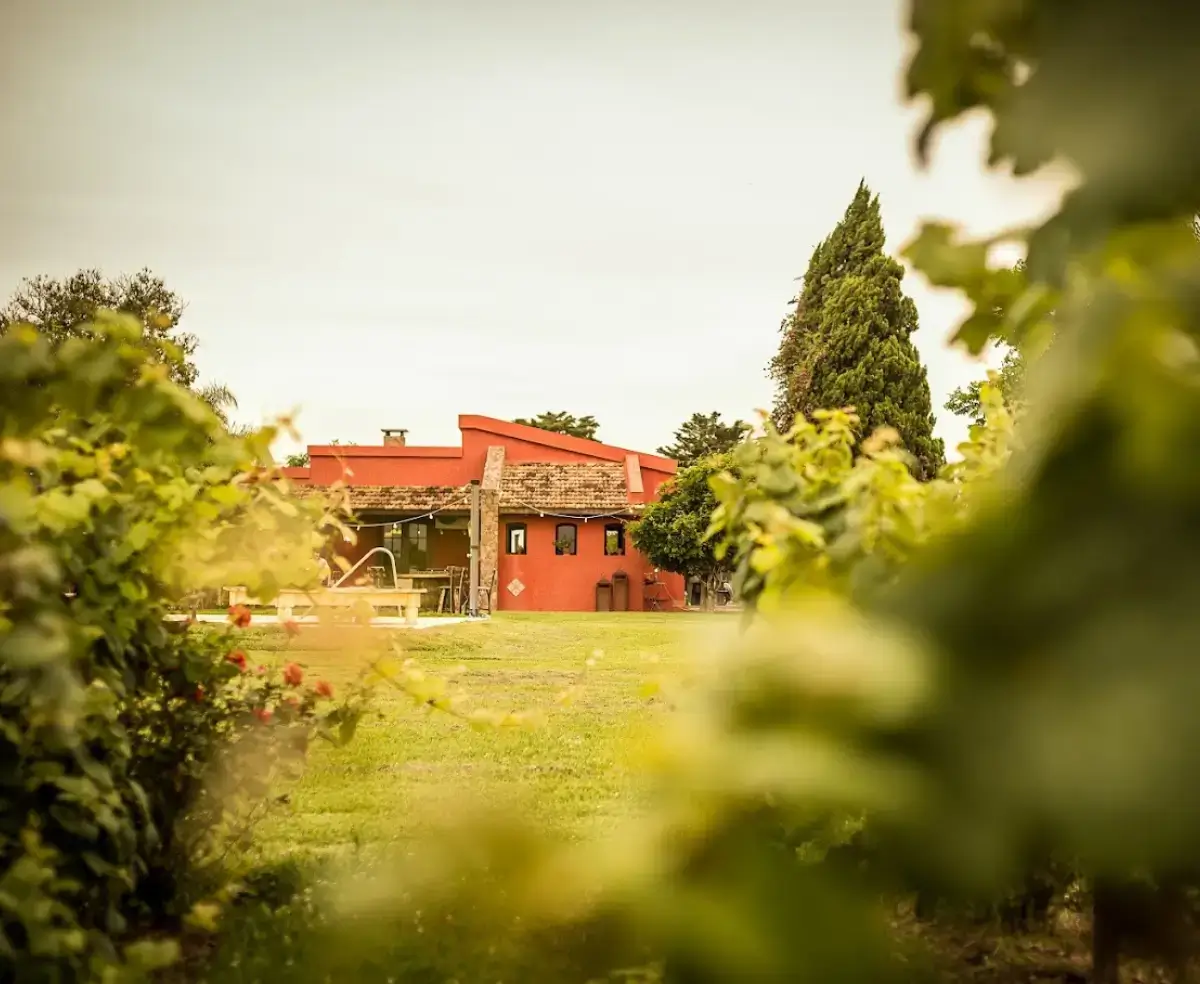 CULINÁRIA DO URUGUAI: VINHOS E BOA MESA