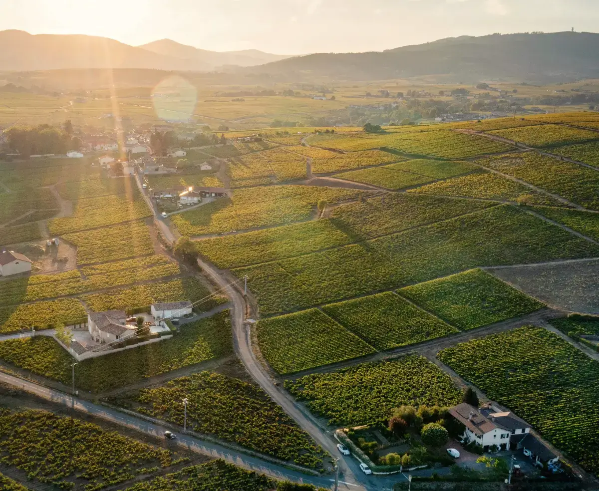Cruzeiro Borgonha: entre vinhos e História