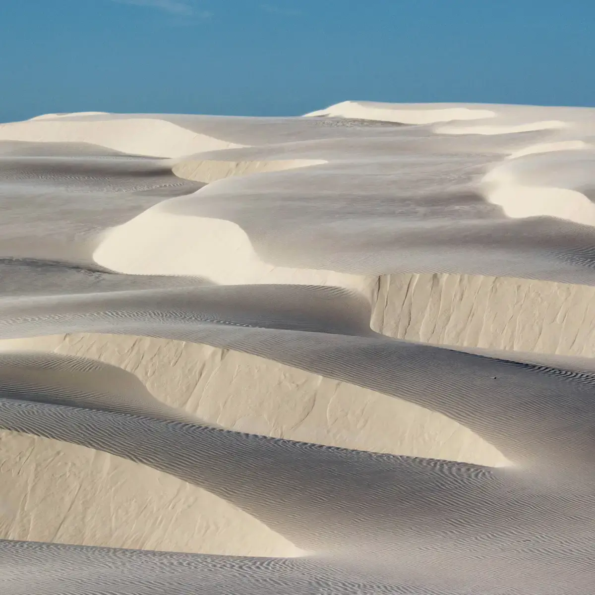São 90.000 hectares de dunas livres nos Lençóis Maranhenses