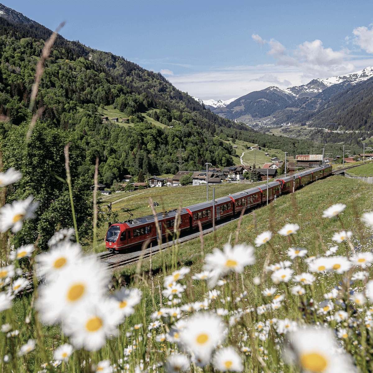 Viagem no Bernina Express, um dos trens panorâmicos na Suíça, com vista para os Alpes nevados ao fundo