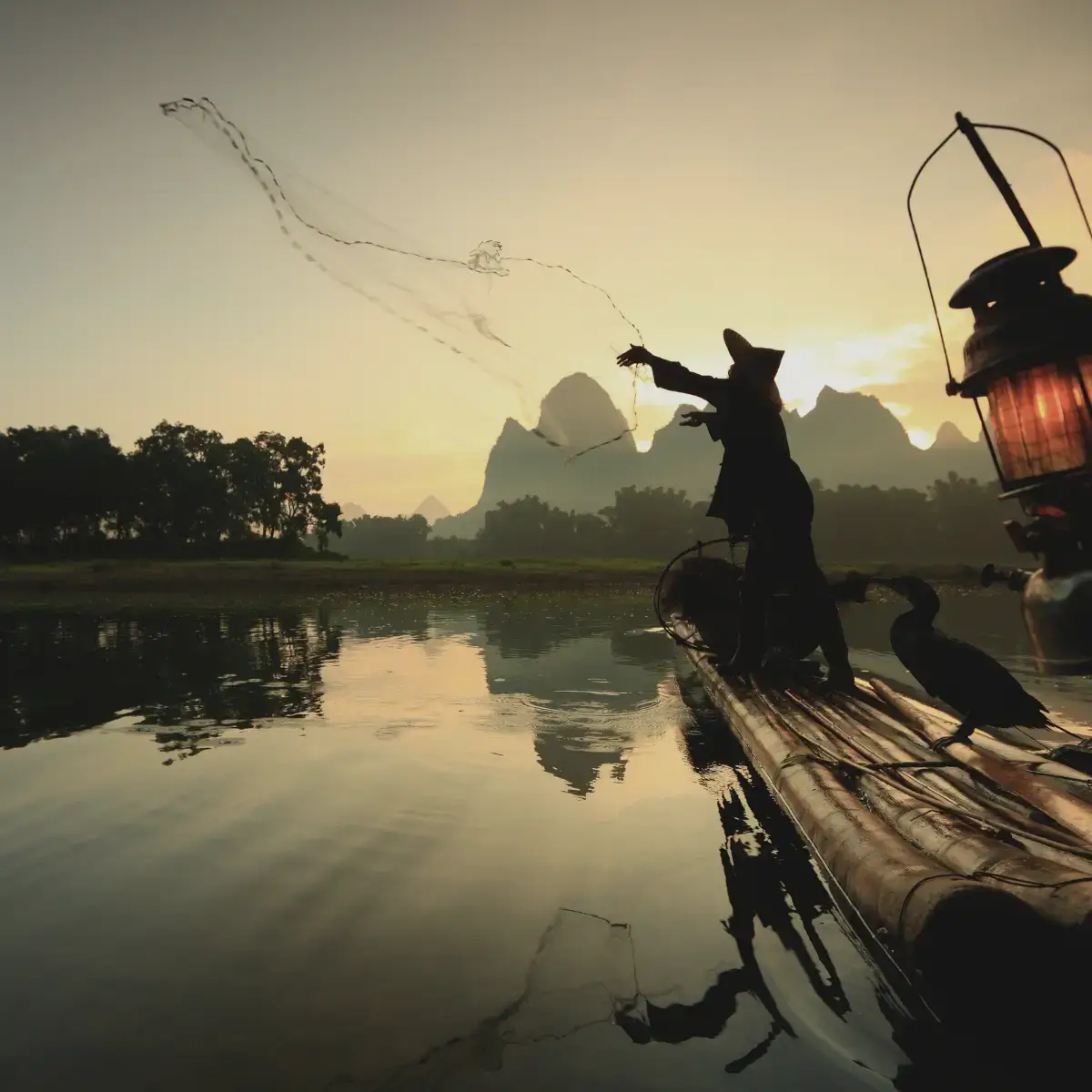 Pesca com cormorão, técnica ancestral usada nas áreas rurais da China