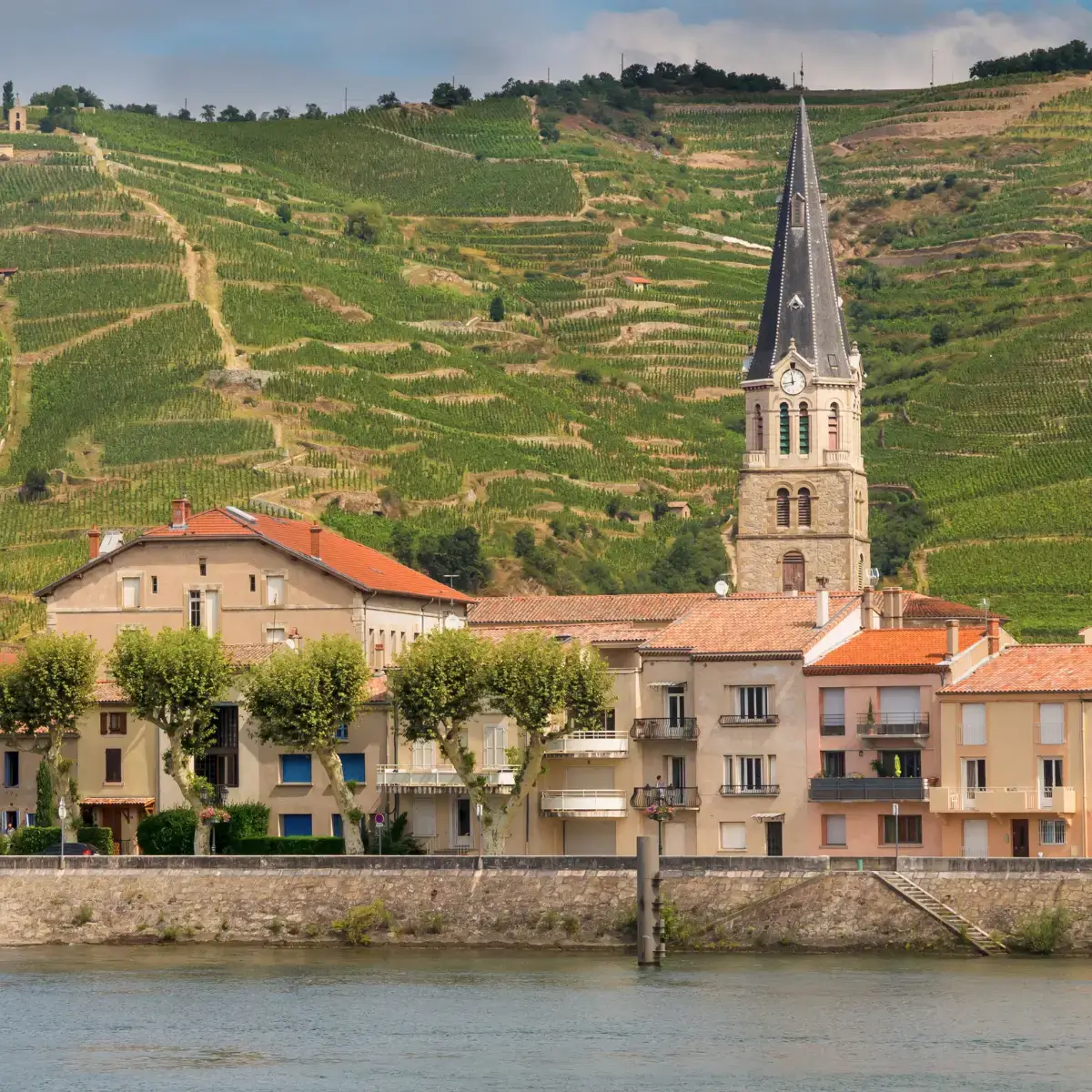 Cidade francesa de Lyon, construída às margens do Rio Ródano com montanhas verdejantes e vinhas no fundo.