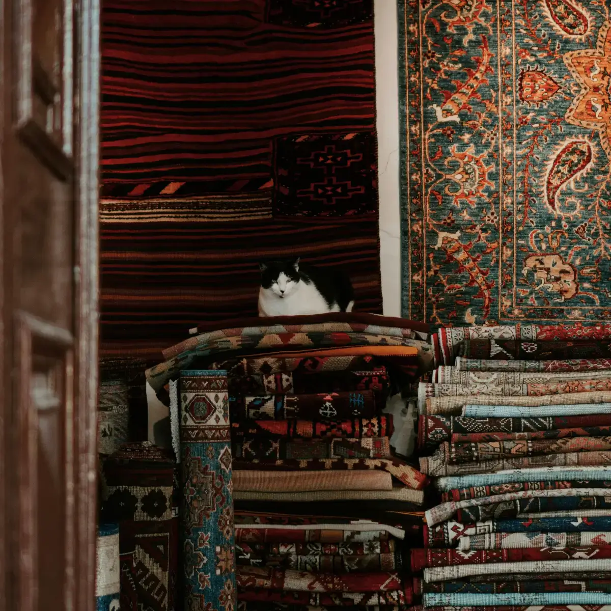 Tapetes turcos otomanos com alta durabilidade e resistência contra arranhões de cães e gatos