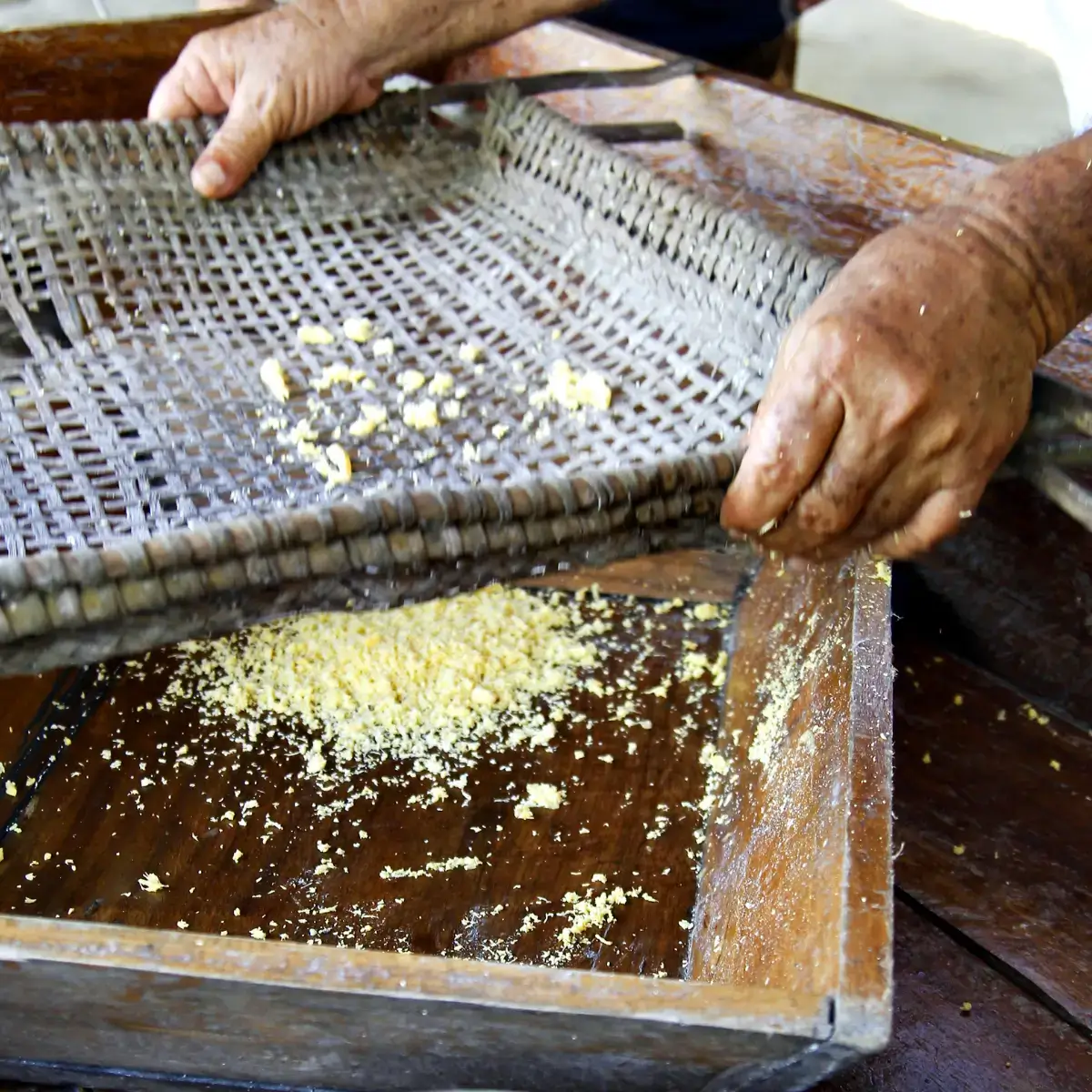 Farinha de mandioca plantada, descascada e ralada manualmente pelos agricultores maranhenses 