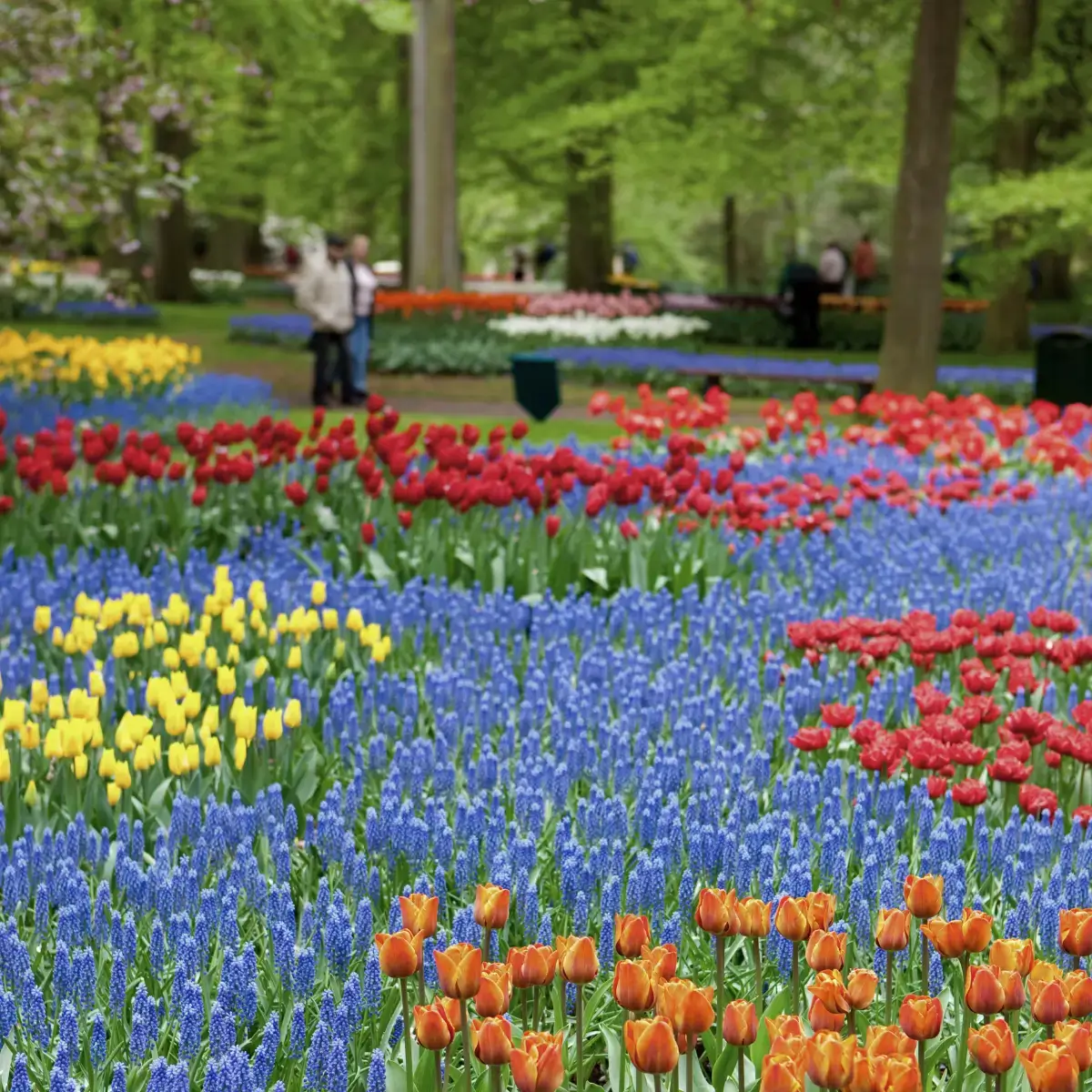 roteiro personalizado sob medida casal bodas 
