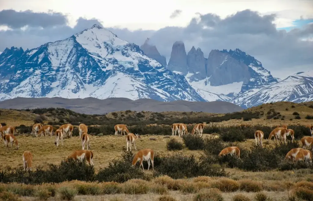viagem em grupo para a Patagônia