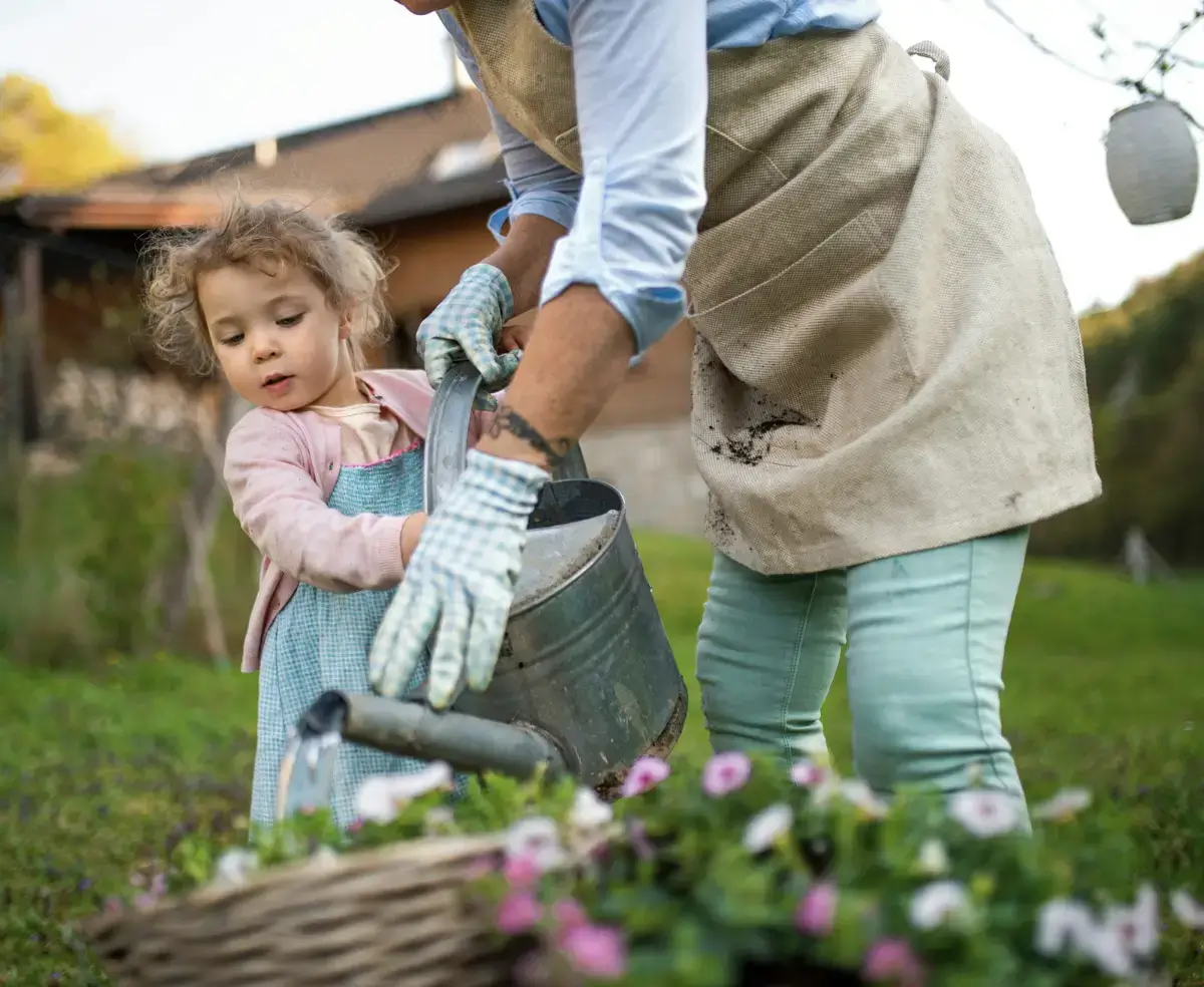 hobbies depois dos 60 jardinagem
