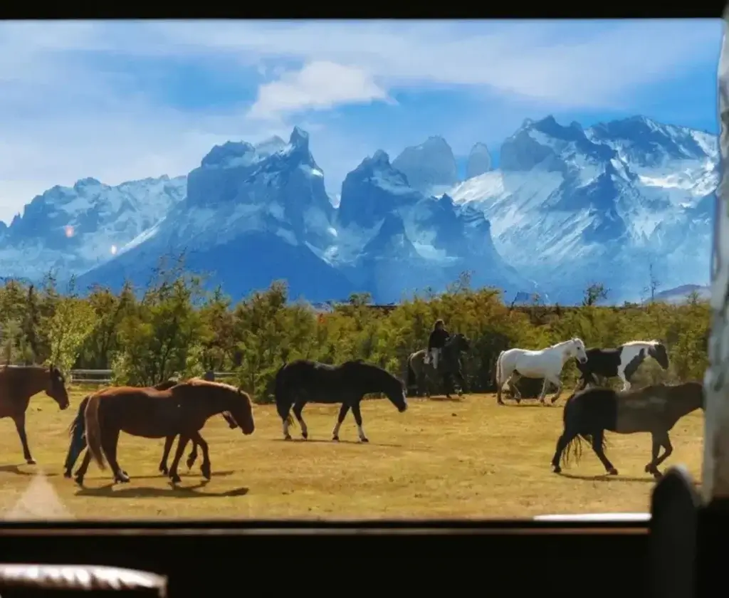 Viver a Patagônia com conforto e tranquilidade